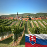 Slovenská vína