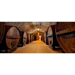 Ilustrační foto Vína VI. Nominační výstava vín Slovácké vinařské podoblasti