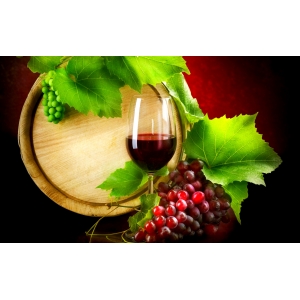 Ilustrační foto Vína Prague Wine Festival