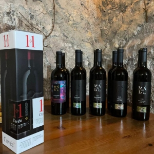 Ilustrační foto Vína Degustace 13. 02. 2026 Vinařství Mádl