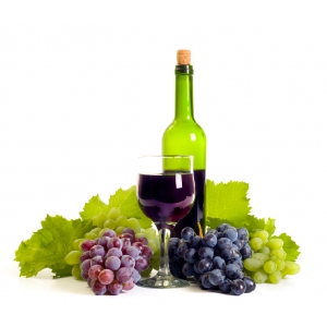 Ilustrační foto Vína Vádemécum vína2 - víno a cestovní ruch