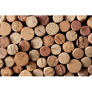 Ilustrační foto Vína Degustace mladých vín 