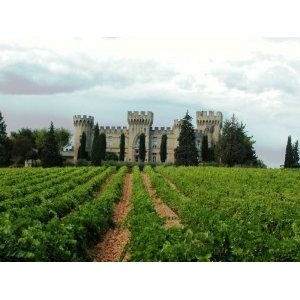 Ilustrační foto Vína Festival vína a sýrů