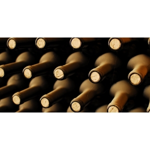 Ilustrační foto Vína Soutěž vín Grand Prix Vinex 2009 - informace pro vinaře