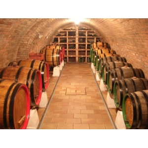 Ilustrační foto Vína Vinařství Horák