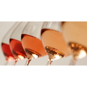 Ilustrační foto Vína Degustace vín z odrůdy Sauvignon