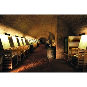 Ilustrační foto Vína Představení vín Salonu vín ČR v Praze