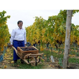 Ilustrační foto Vína Vinařství rodiny Špalkovy