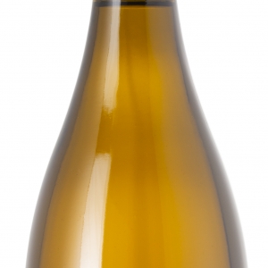 Sauvignon, pozdní sběr 2021, víno bílé - suché