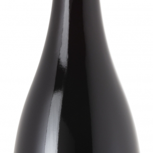 Merlot, výběr z hroznů 2021, víno červené - suché