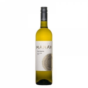 Sauvignon, pozdní sběr 2025, víno bílé - suché