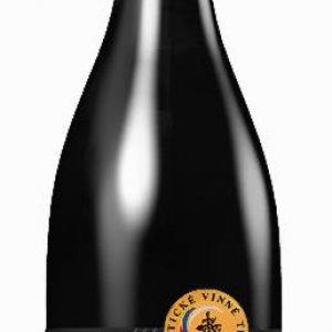 Pinot Noir, výběr z hroznů 2022, víno červené - suché